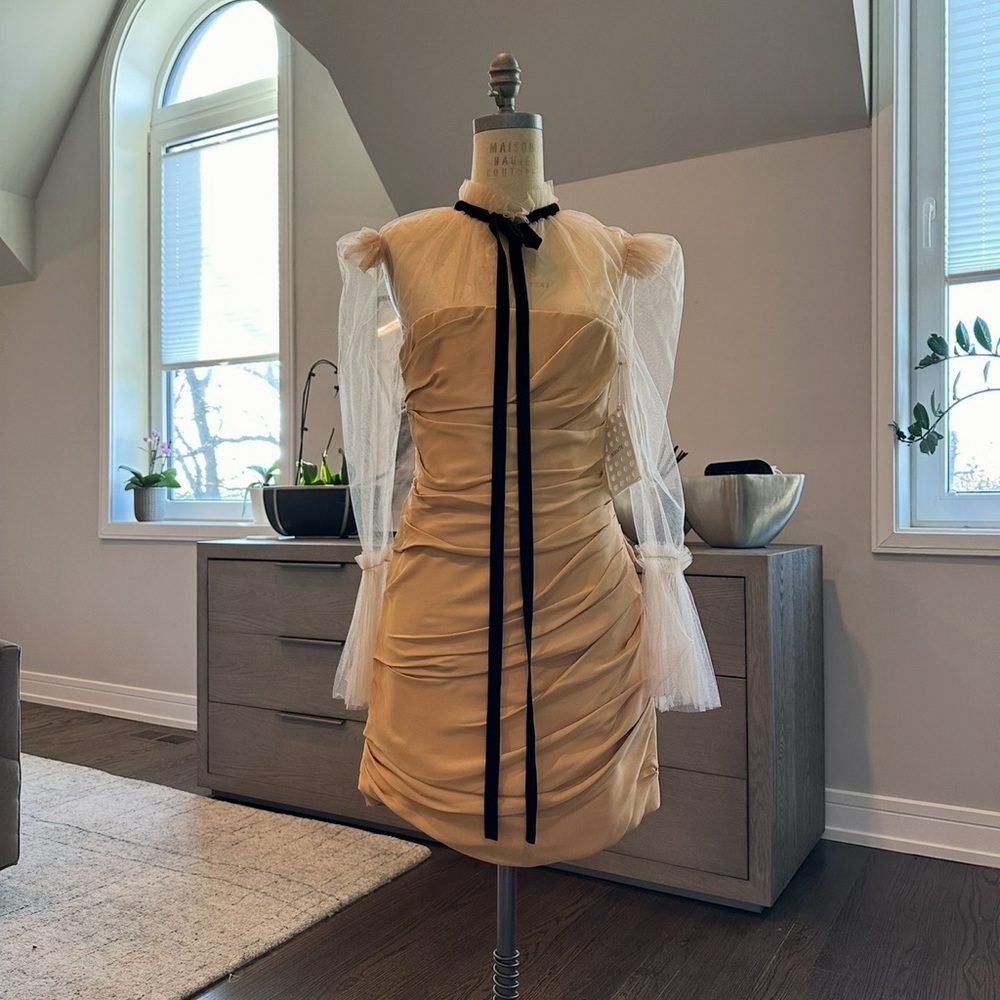 Khaite Elegant Light Gold Dress with Sheer Sleeves - Picture 3 of 11
